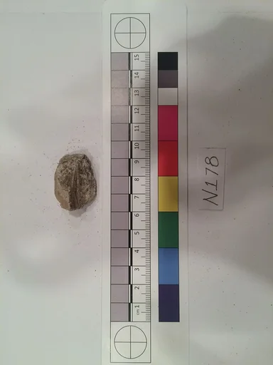Stucco Fragment