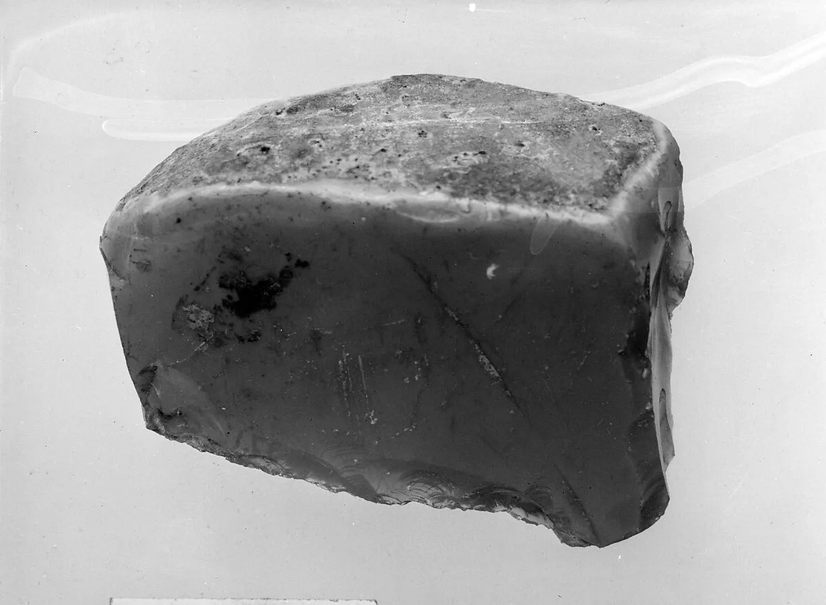 Fragment — Unknown