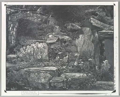 [Innisfree Garden, Millbrook, NY]
