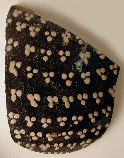 Fragment with Clusters of White Dots