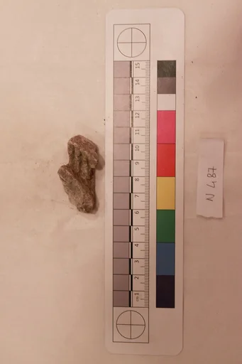 Stucco Fragment