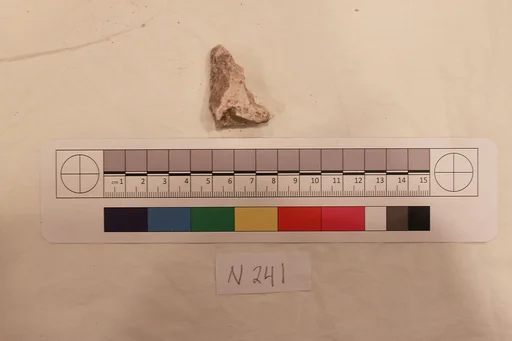 Stucco Fragment