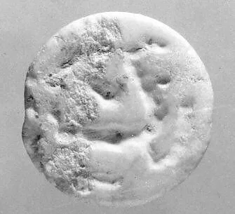 Drilled oval hemispheroid seal — Unknown