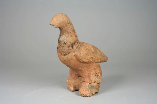 Figure: Bird