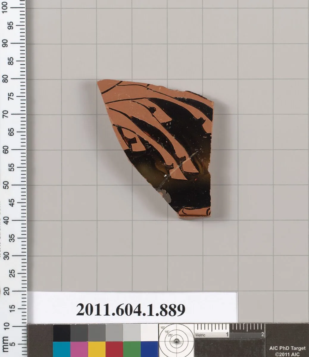 Terracotta fragment of a kylix (drinking cup) — Unknown