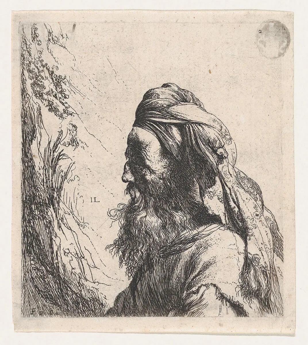 Man in a Turban Facing Left — Jan Lievens