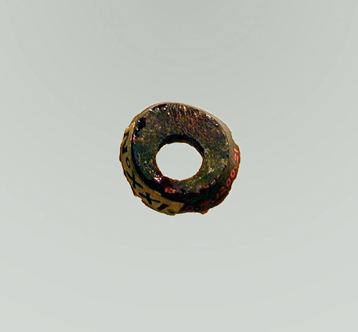 Fibula, fragment — Unknown
