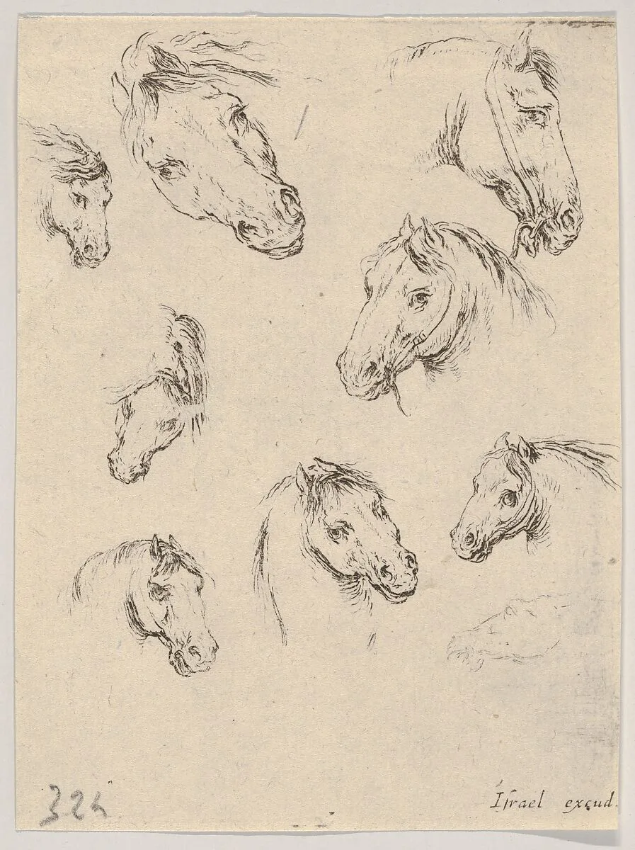 Plate 17: Nine studies of horse heads, from 'Various heads and figures' (Diverses têtes et figures) — Stefano della Bella|Israël Henriet