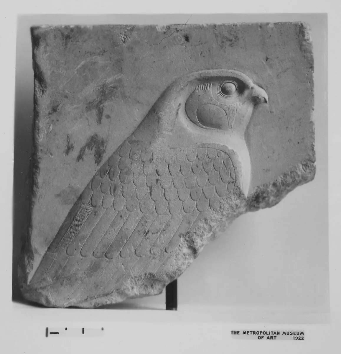 Fragmentary relief plaque with falcon — Unknown