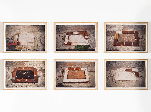 Untitled (Jardineras) — Damian Ortega
