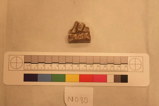Stucco Fragment