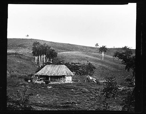 [Thatched Roof House on Hillside, Cuba]