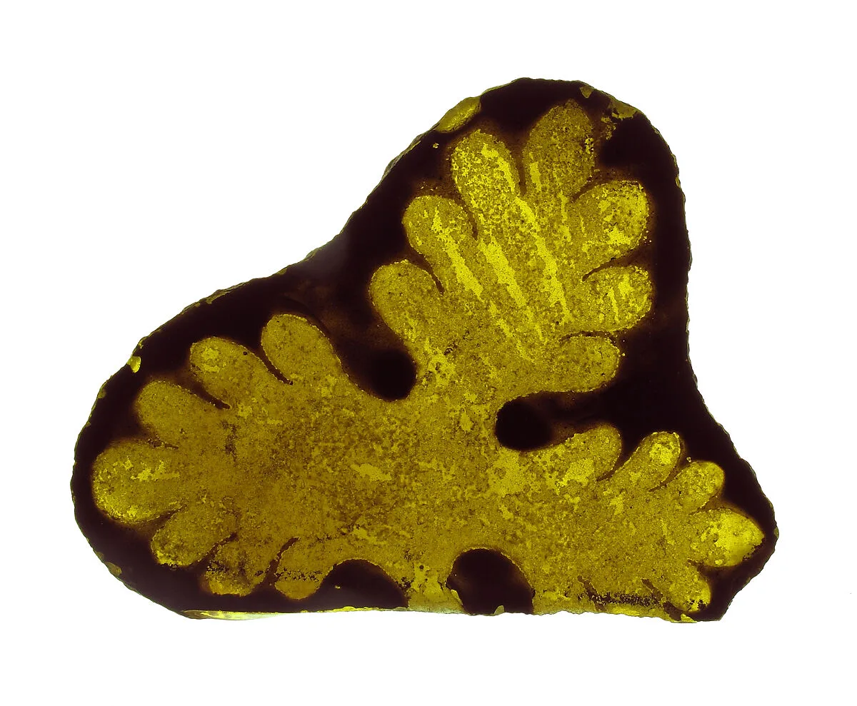 Glass Fragment — Unknown