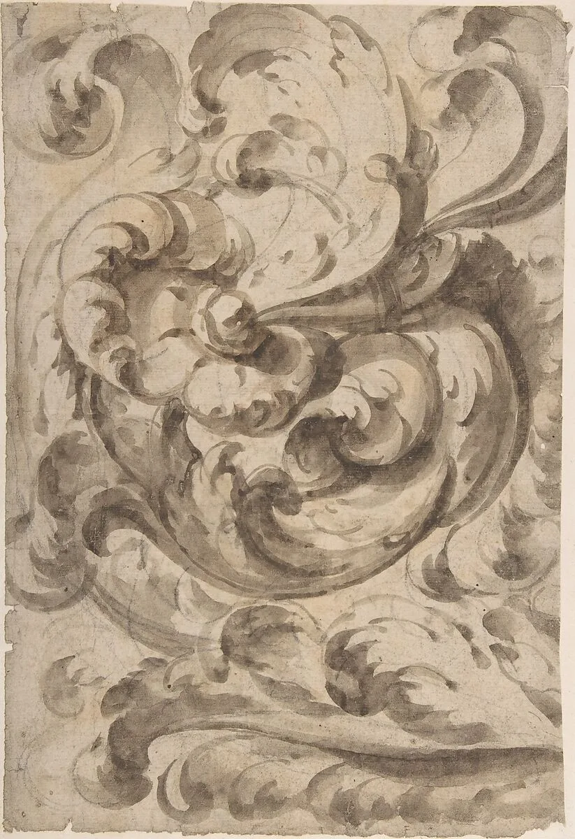 Acanthus Scroll — Anonymous, Italian, 17th century