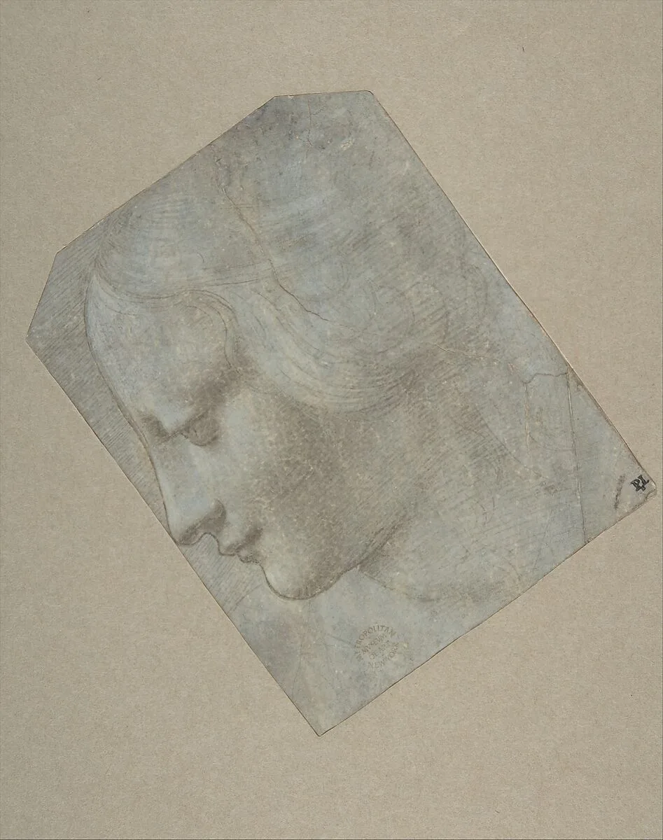 The Head of a Woman in Profile Facing Left — Leonardo da Vinci|Giovanni Antonio Boltraffio