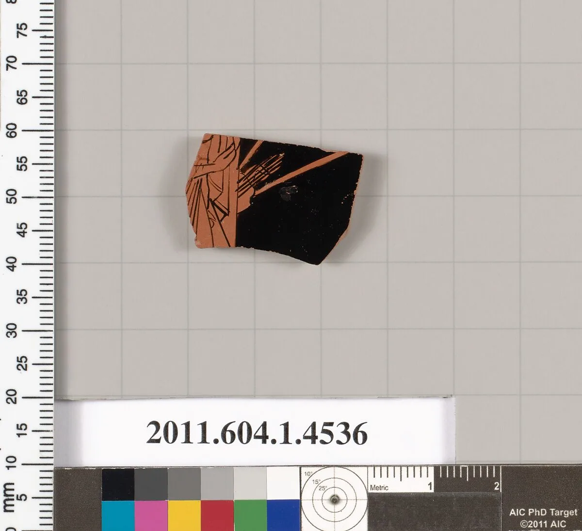 Terracotta fragment of a kylix (drinking cup) — Unknown