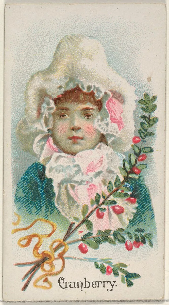 Cranberry, from the Fruits series (N12) for Allen & Ginter Cigarettes Brands — Allen & Ginter|George S. Harris & Sons