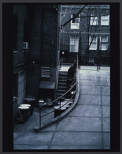 From the Series "traces & presence" (presence)