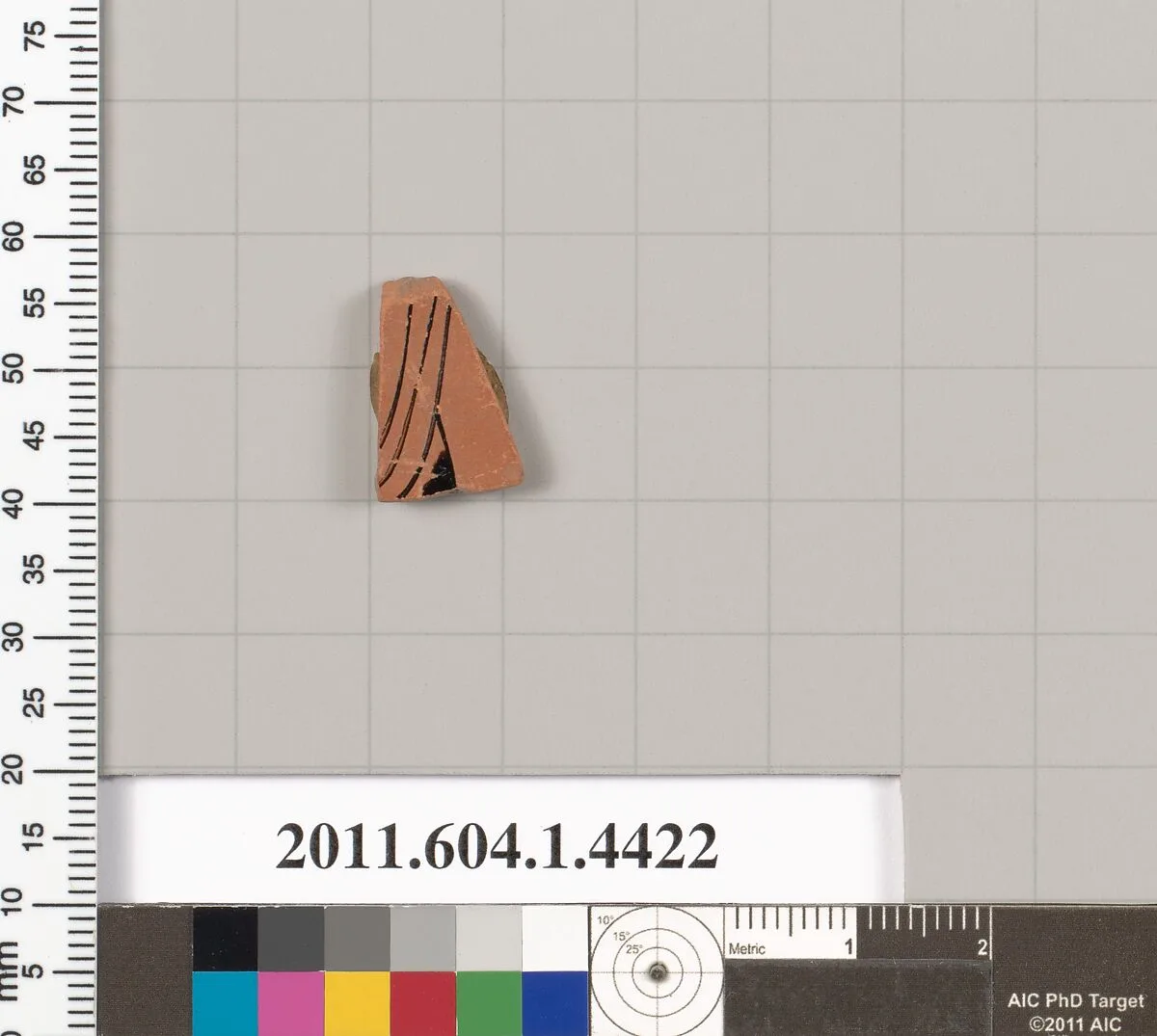 Terracotta fragment of a kylix (drinking cup) — Unknown