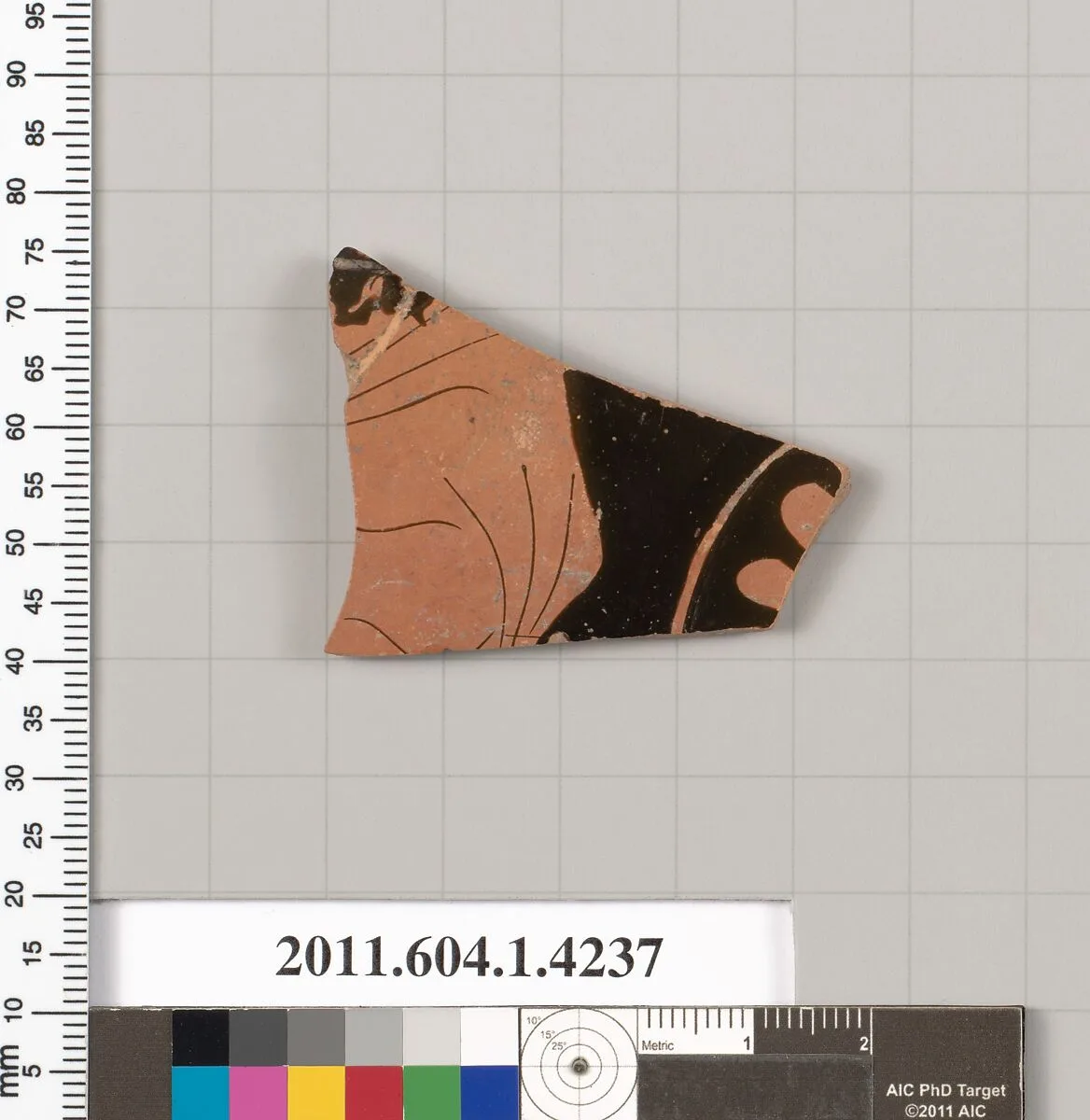 Terracotta fragment of a kylix (drinking cup) — Unknown