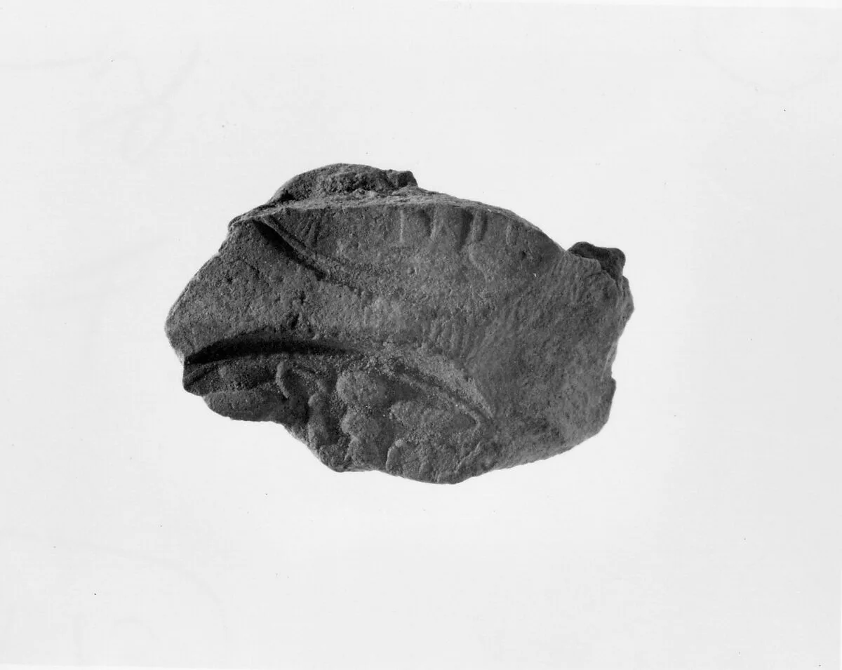 Document Sealing With the Throne Name of Amenhotep III — Unknown