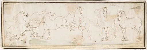 Six Horses