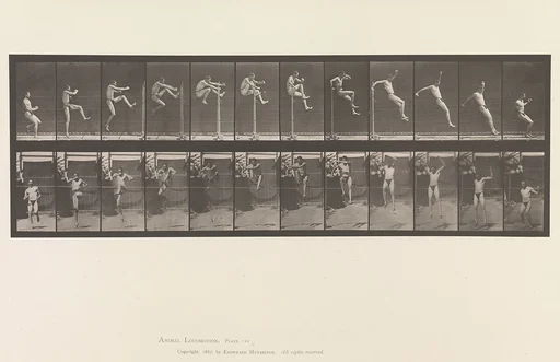 Animal Locomotion. An Electro-Photographic Investigation of Consecutive Phases of Animal Movements. Commenced 1872 - Completed 1885. Volume V, Man (Pelvis Cloth)