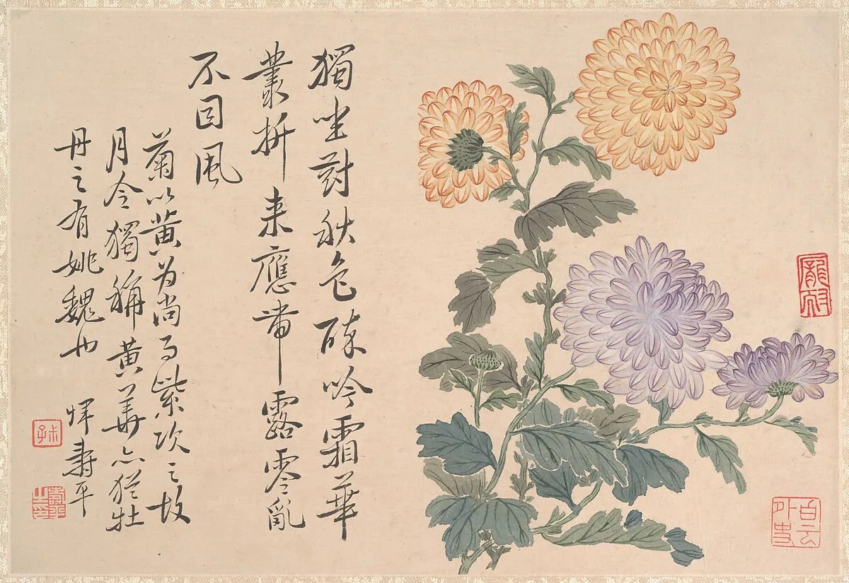 清 惲壽平 菊花圖 冊頁|Chrysanthemums — Yun Shouping|Unidentified artist