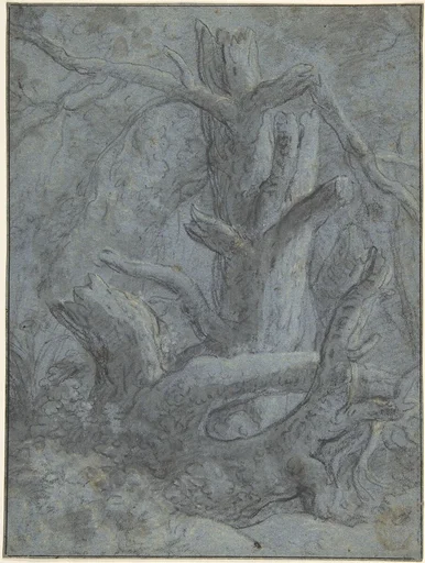 Study of a Blasted Tree Trunk and Branches