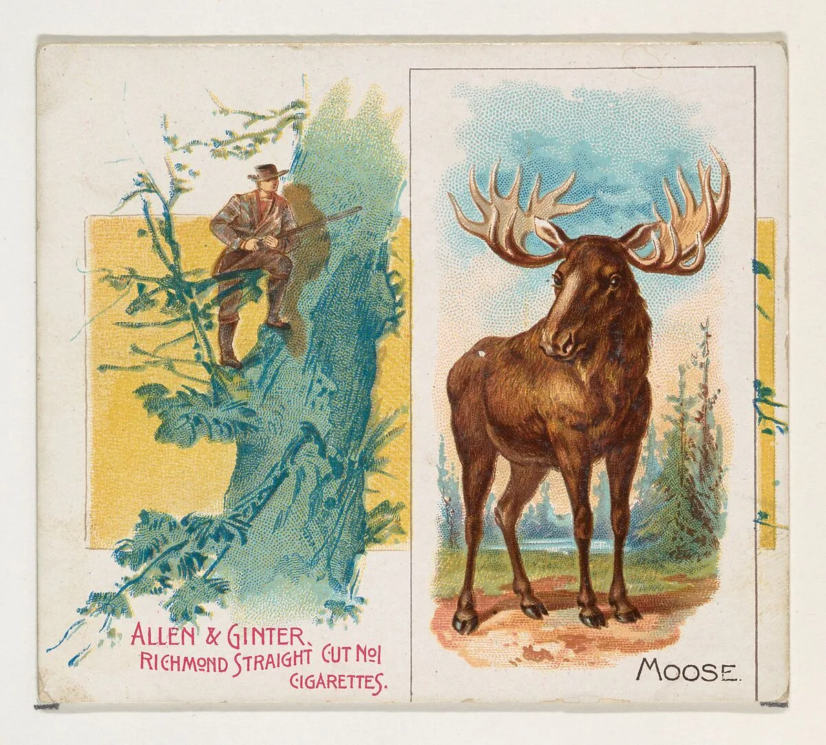 Moose, from Quadrupeds series (N41) for Allen & Ginter Cigarettes — Allen & Ginter|Lindner, Eddy & Claus