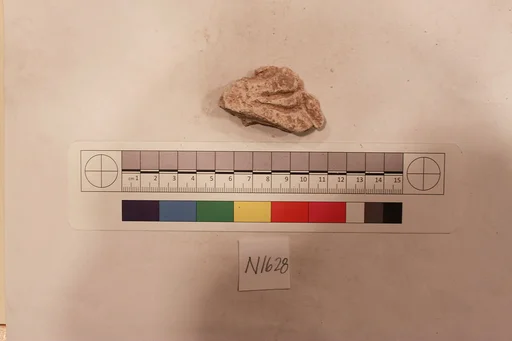 Stucco Fragment