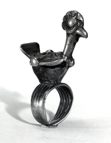 Ring: Bird — Unknown