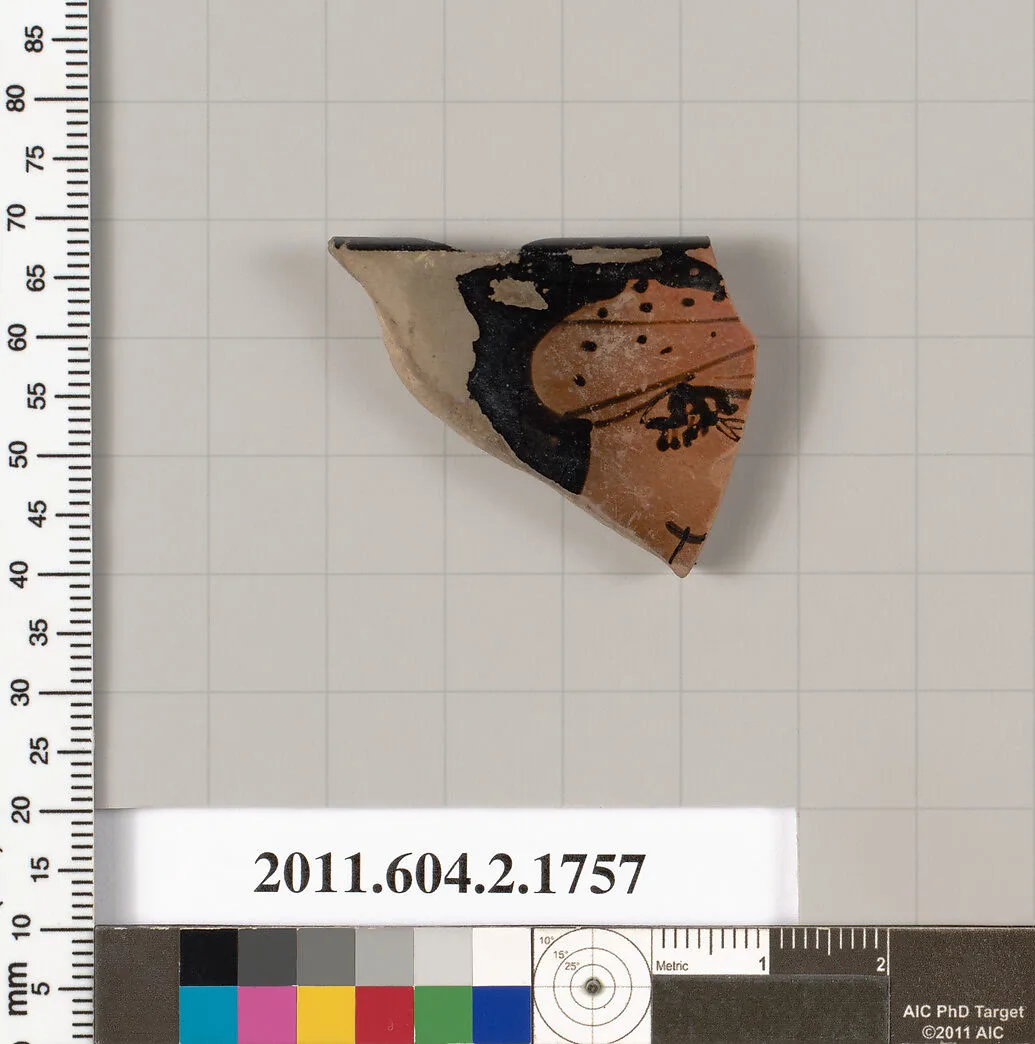 Terracotta rim fragment of a skyphos (deep drinking cup) — Unknown