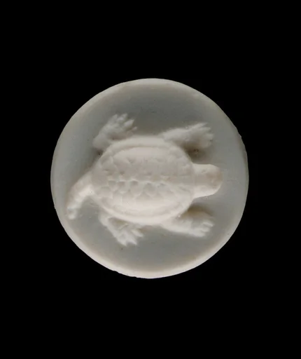 Sleeve Button