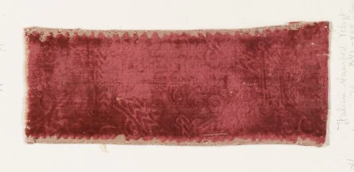 Fragment — Unknown