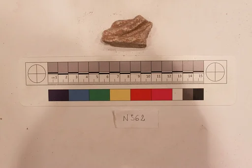 Stucco Fragment