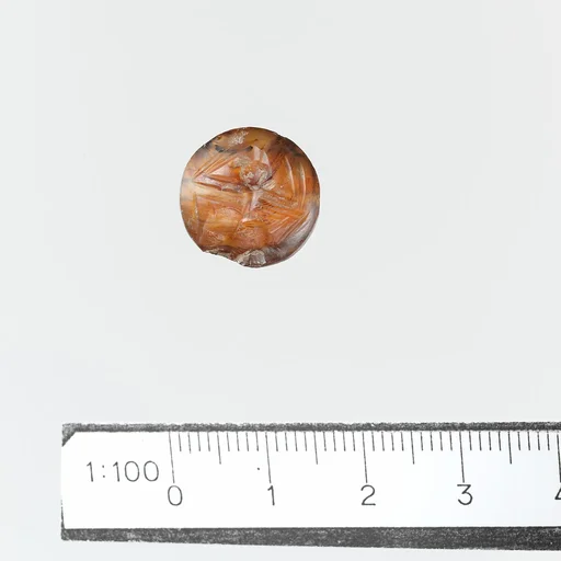 Seal
