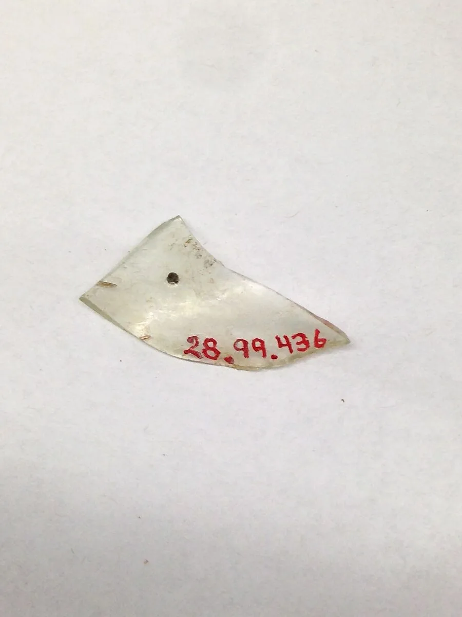 Fragment — Unknown