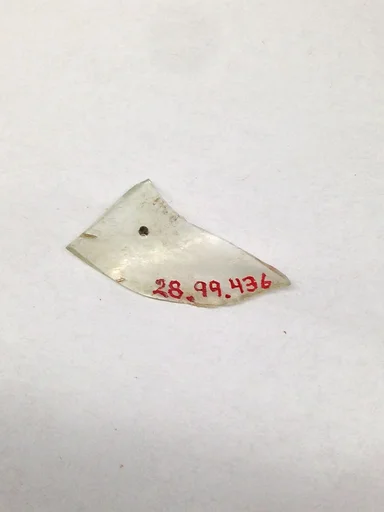 Fragment