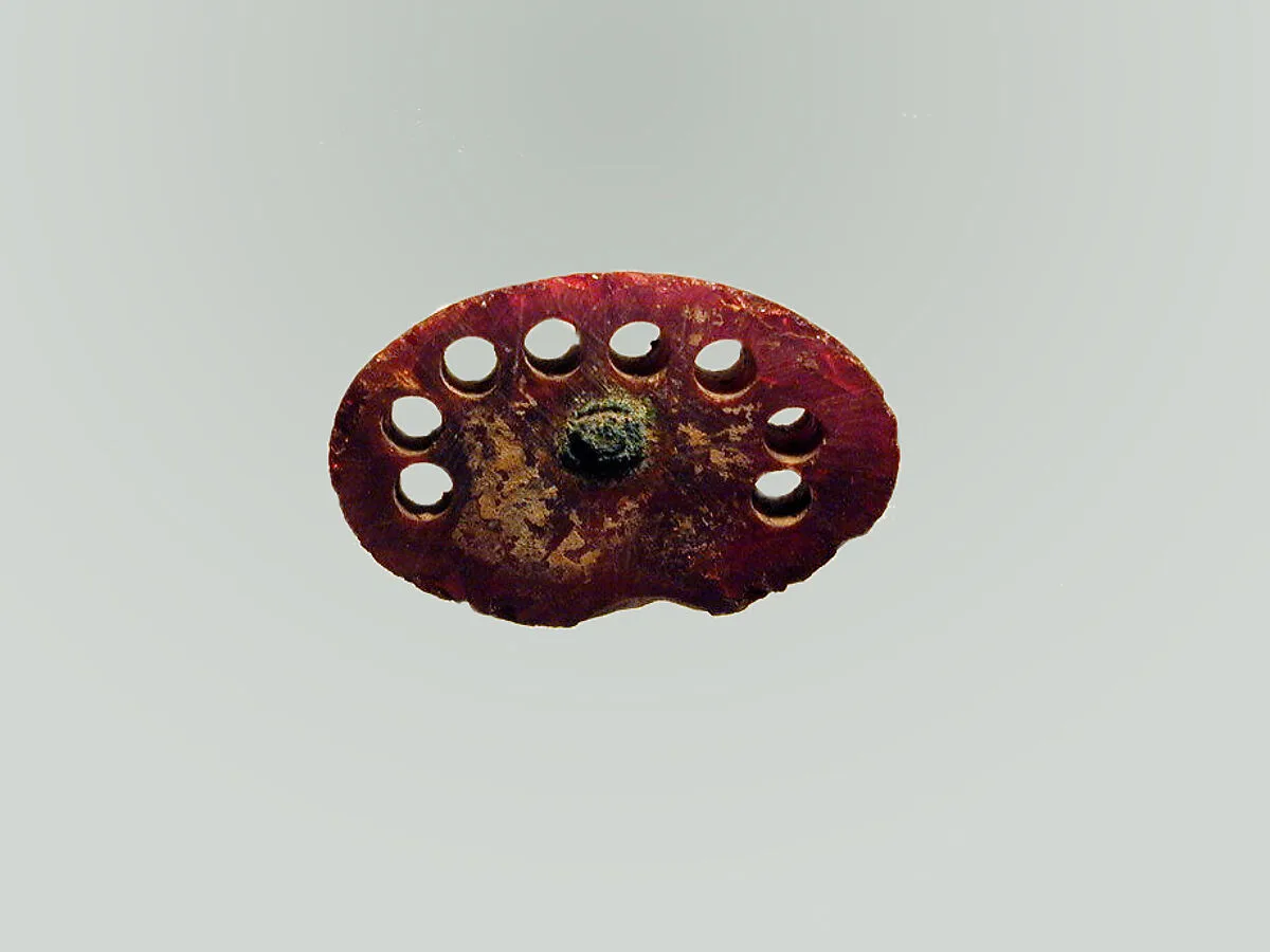Fibula, fragment — Unknown