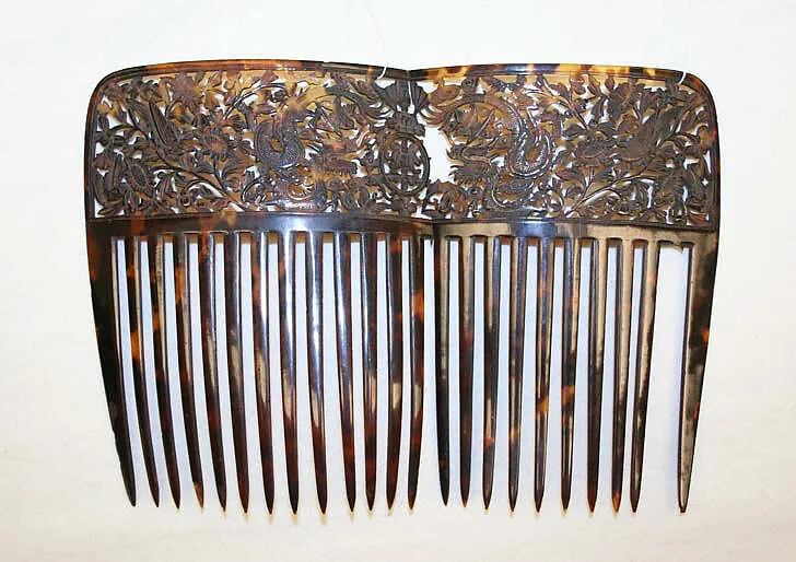 Comb — Unknown