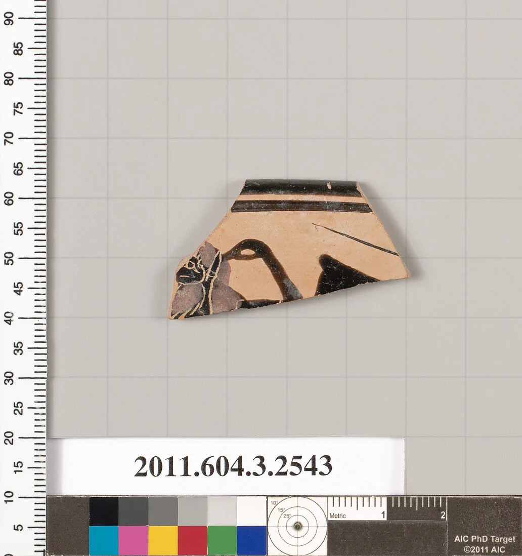 Terracotta rim fragment of a kylix: eye-cup (drinking cup)? — Unknown
