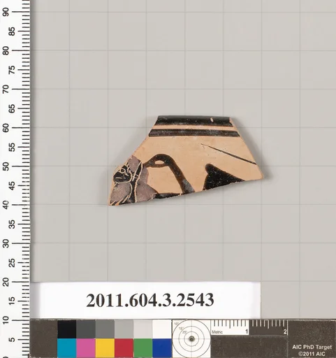 Terracotta rim fragment of a kylix: eye-cup (drinking cup)?