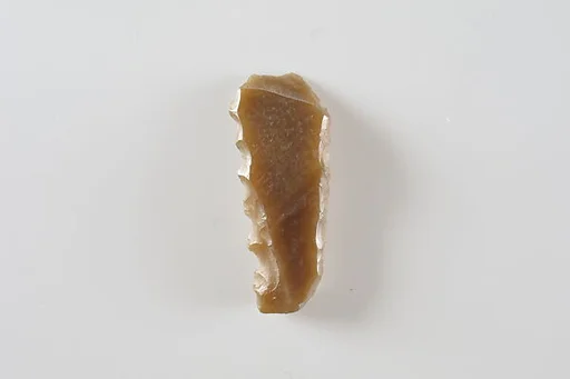 Sickle Insert