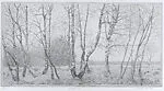 Ginkel Heath (Ginkelse Heide), near Ede, The Netherlands — Charles Donker