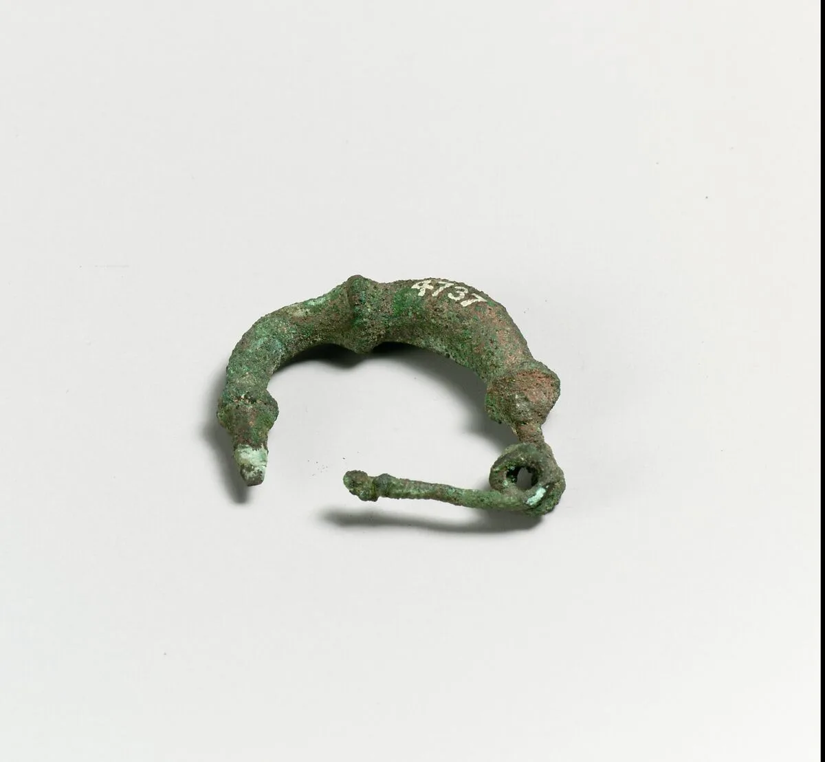 Fibula — Unknown