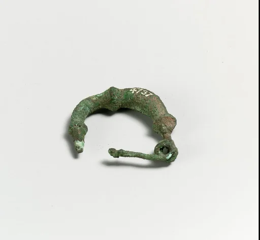 Fibula