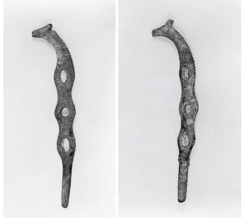 Horse bit cheekpieces in form of a horse's head — Unknown