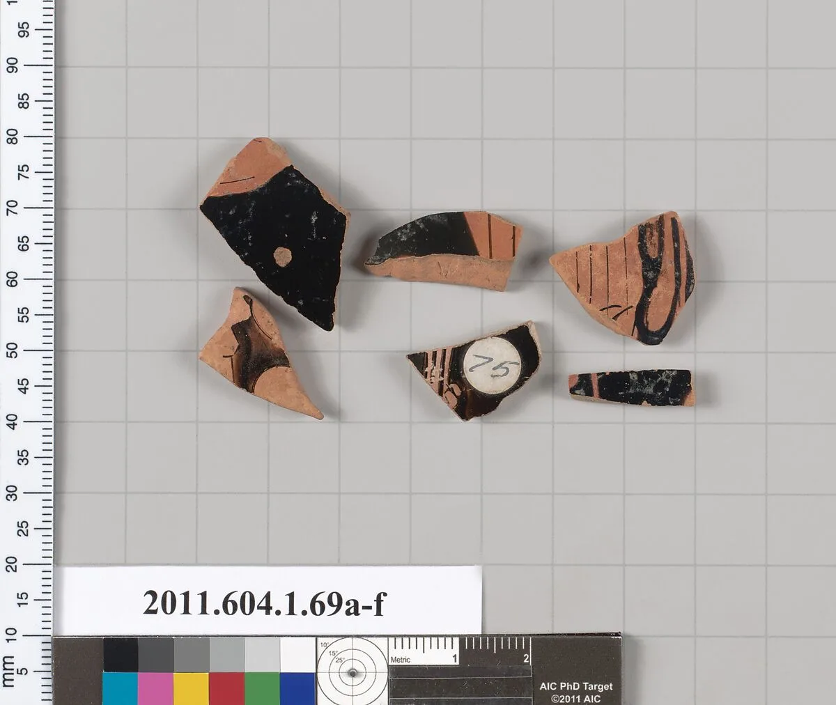 Terracotta fragments of a kylix (drinking cup) — Unknown