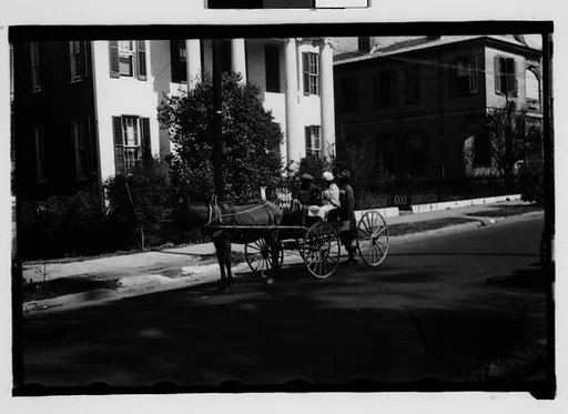 [Couple in Horse-Drawn Carriage on Street, Natchez, Mississippi]